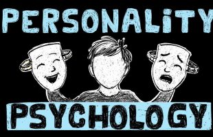 I can guess your Political Views from a Personality Test