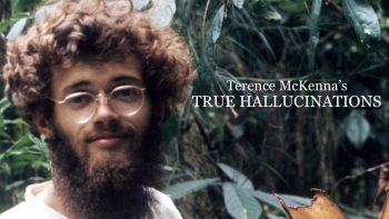 Interconnected Society (Terence McKenna)