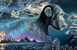 The Next Phase of Human Existence – Terence McKenna