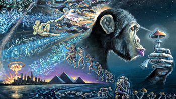 The Next Phase of Human Existence – Terence McKenna