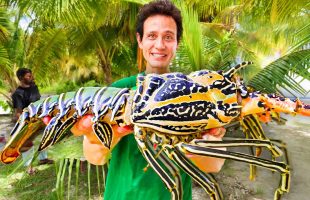 Trying a 600 Meter Deep DINO FISH!! Best Traditional Food on Shark Island!!