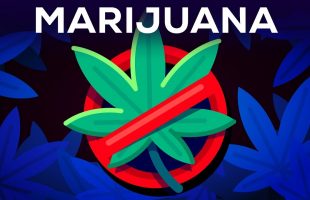 We Have To Talk About Weed