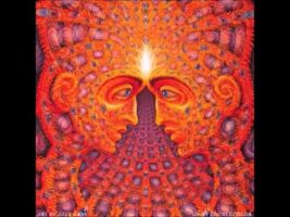 Where do the ideas come from? (Terence McKenna)