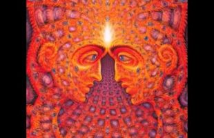 Where do the ideas come from? (Terence McKenna)