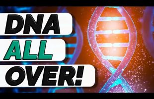It Turns Out Your DNA is EVERYWHERE – SR134