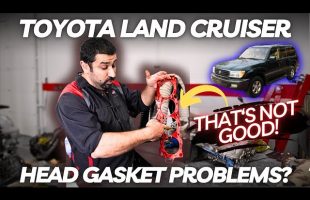 Toyota Land Cruiser Head Gasket Problems? WHAT IS GOING ON?!