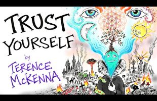 Reject Authority, Trust Yourself – Terence Mckenna