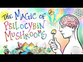 The Magic of Mushrooms – A Psilocybin Renaissance