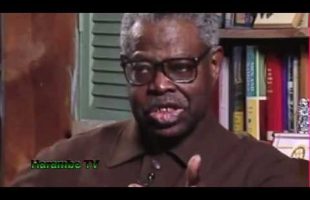 Dr Ben and Dr Clarke – Imhotep: The World’s First Multi-Genius.mp4