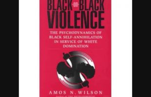 Amos N. Wilson | Black-on-Black Violence