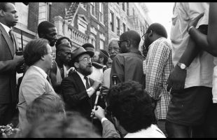 Dr. Amos Wilson Racial Tensions & Wealth