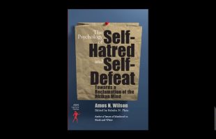 Amos N. Wilson | The Psychological Effects of Enslavement: Past to Present