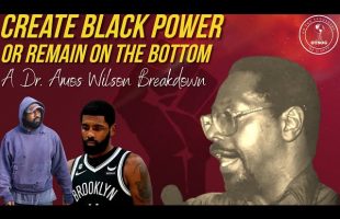 Is Black Power An Illusion? | A Breakdown Of Dr. Amos Wilson
