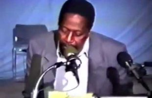 Amos Wilson – Breaks Down White Criminality