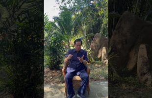 Controlled ejaculation: Taoist secrets for men💦