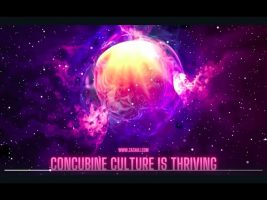 ZaZa Ali: Concubine Culture is Winning (?)