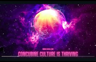 ZaZa Ali: Concubine Culture is Winning (?)