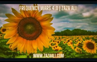ZaZa Ali | Spiritual Kung Fu