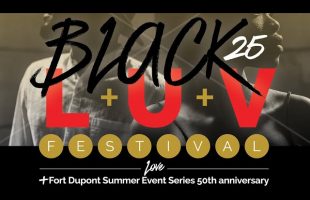 BlackLuvFest25 in Washington DC