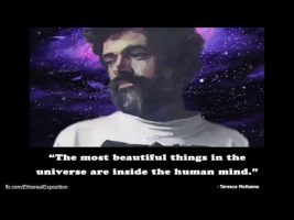 Terence Mckenna Rimshots #121 – Where Psychedelics Hit us Hardest is Art and Novelty