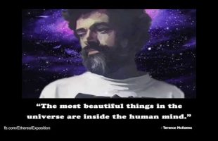 Terence Mckenna Rimshots #121 – Where Psychedelics Hit us Hardest is Art and Novelty