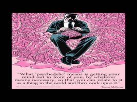 Terence Mckenna Rimshots #119 – What Psychedelic Means