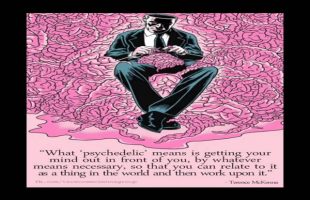 Terence Mckenna Rimshots #119 – What Psychedelic Means