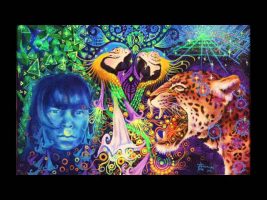 Terence Mckenna Rimshots #117 – What Ayahuasca is About