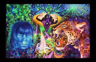 Terence Mckenna Rimshots #117 – What Ayahuasca is About
