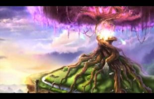 Anti Dope Week (Terence Mckenna)