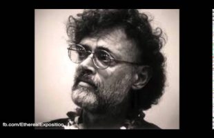 Terence Mckenna Rimshots 082   The Change that comes must be Radical