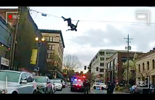 Man Runs from Cops, Instantly Regrets Everything