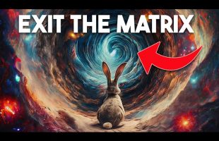 It’s Time To Wake Up! | Everything Explained