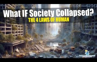 Society has Collapsed!  Grid Down… What now?