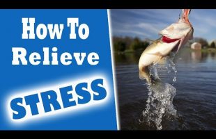 How to Relieve Stress and Anxiety – 6 Helpful Strategies