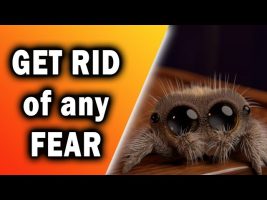 How to Get Rid of ANY Fear – Systematic Desensitization Explained