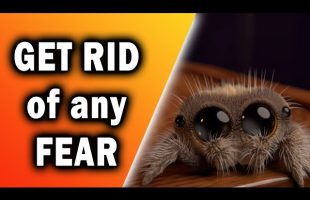 How to Get Rid of ANY Fear – Systematic Desensitization Explained