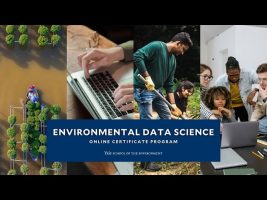 New Online Program: Environmental Data Science Certificate | Yale School of the Environment