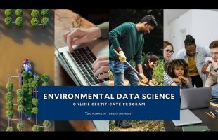 New Online Program: Environmental Data Science Certificate | Yale School of the Environment