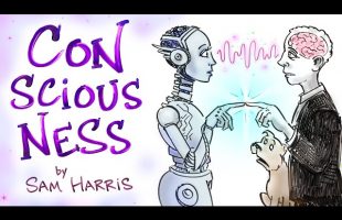 How Does Matter Give Rise To Consciousness? – Sam Harris