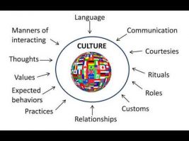 Dr. Amos Wilson Culture & Problem Solving