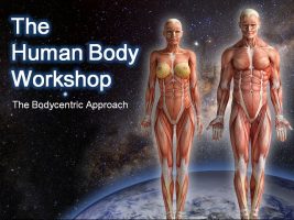 The Human Body Workshop