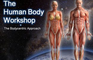 The Human Body Workshop