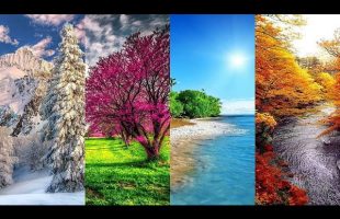 How do Seasons Work on Flat Earth?