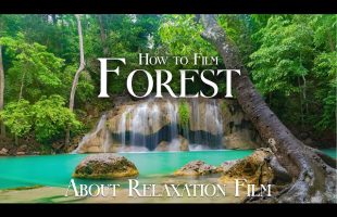 Get to know RELAXATION FILM by Richard Nomad