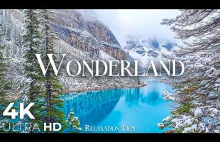 Winter Wonderland 4K • Nature Relaxation Film with Peaceful Music | 4K Ultra HD