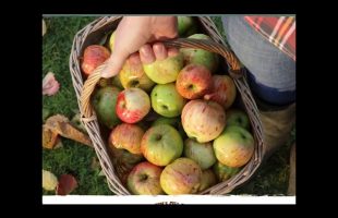 March’s Seasonal Fruits and Vegetables