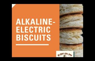 Alkaline-Electric Biscuits