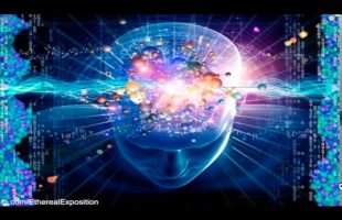 Terence Mckenna Rimshots #091 Science Fiction