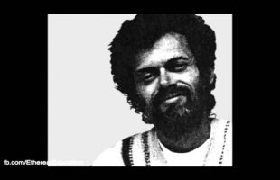 Terence Mckenna Rimshots 089   A lot of right places at a lot of right times